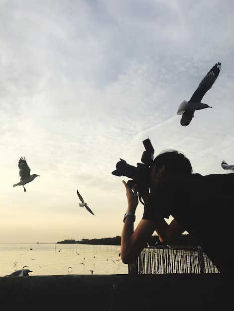 Как фотография покорила мир